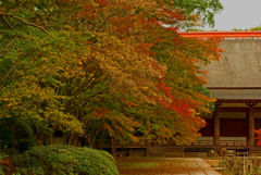 錦繍 観心寺　IMGP9633zz