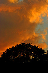 燃える夕空　IMGP8687zz