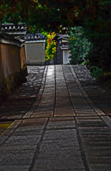 なだらかな坂道　P1790846zz