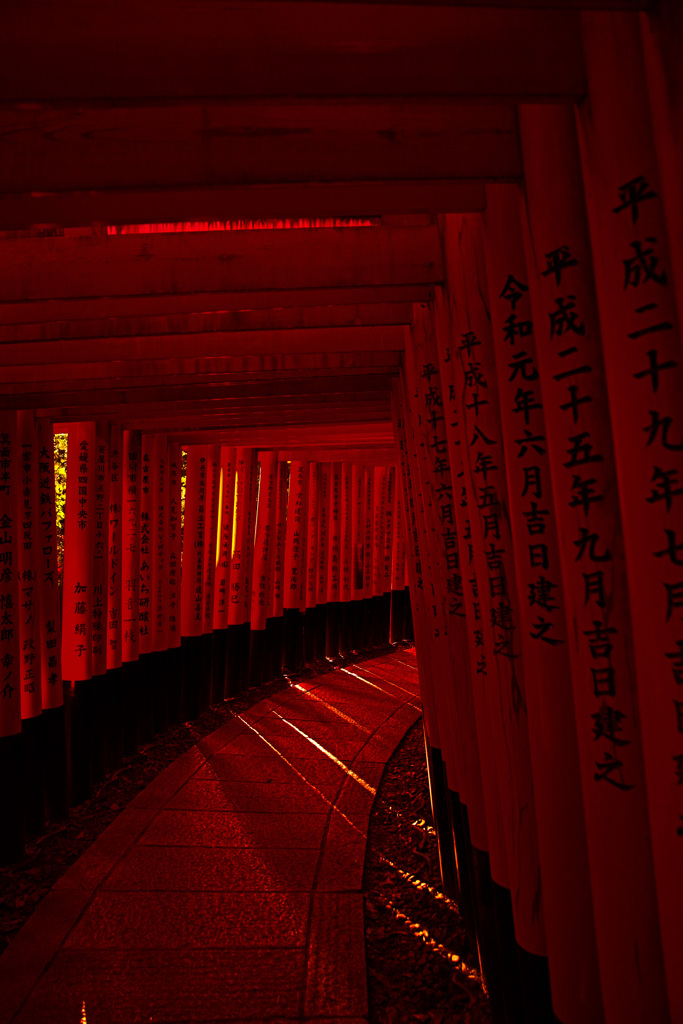 逢う魔が時　IMGP6054zz