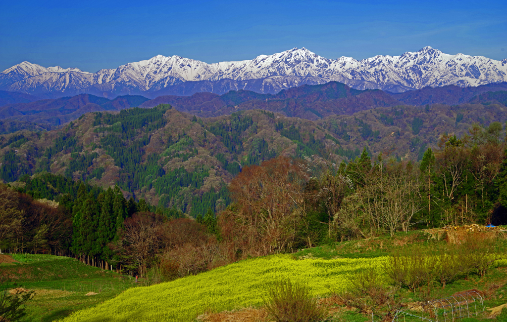 思い出の春景〈美しい村〉　IMGP2551z