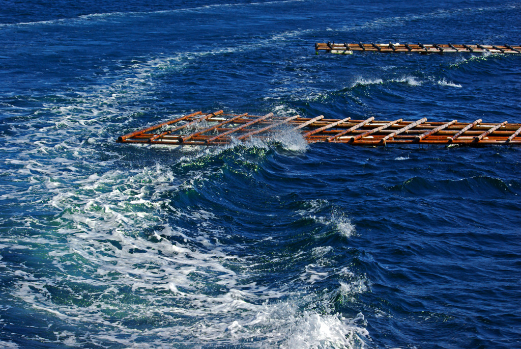 志摩の海 航跡　IMGP5831zz