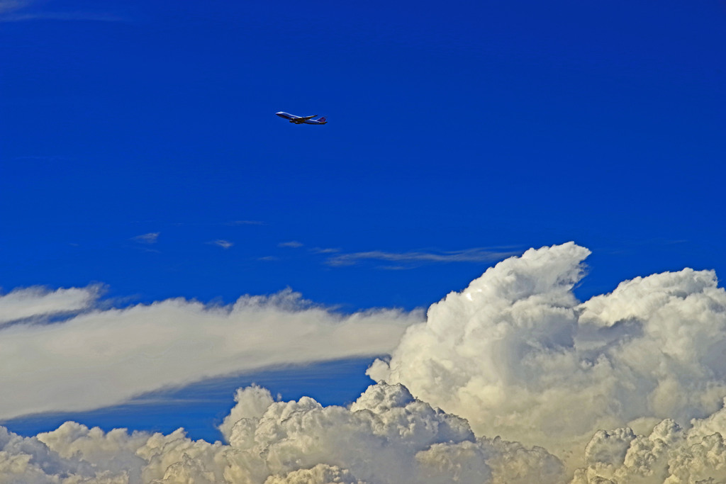 青空飛行　IMGP1510zz