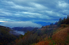黎明の霧ヶ峰　_IGP0176zz