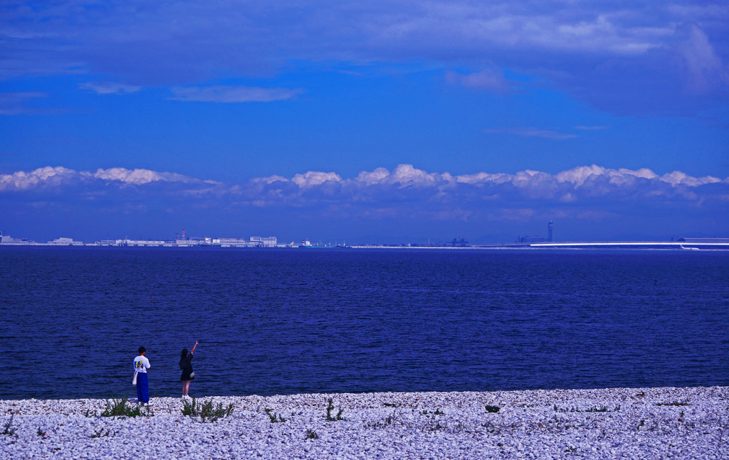 過行く夏　P1230068zz