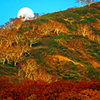 再  残月と燃える山　IMGP9094zz