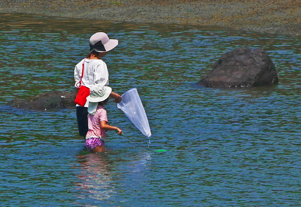 親子で魚とり　P1630796zz
