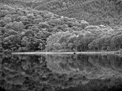 明鏡止水　DSC06656z