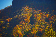 荒船山に秋が来た　IMGP0240zz