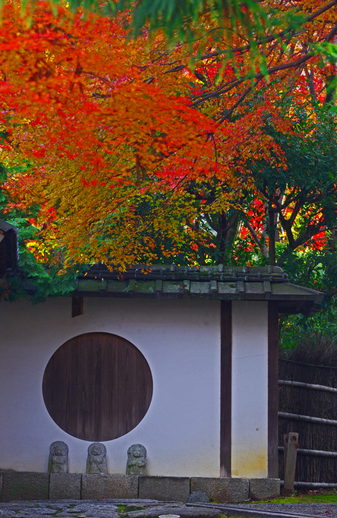 高台寺岡林院　IMG2245zz