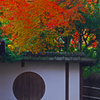 高台寺岡林院　IMG2245zz