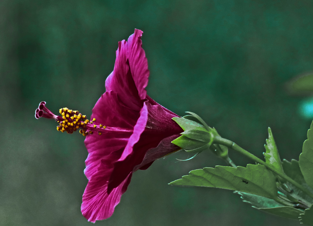 「常に新しい美」　P1470058zz