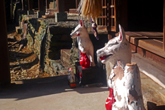 古びた稲荷社　P1210830zz