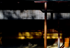 冬のお茶室　P1146605zz