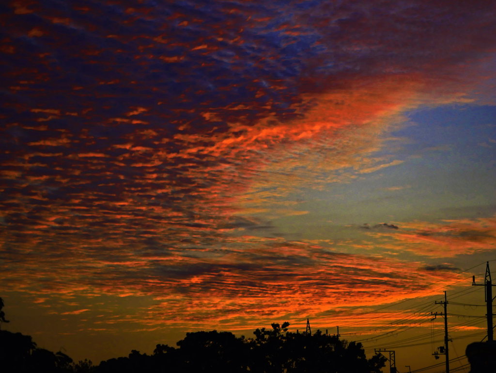 やけに赤い朝焼け　P1720021zz