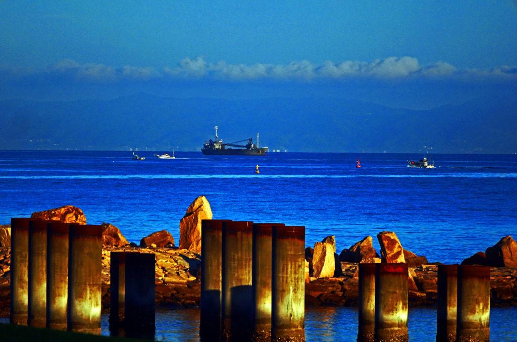 少し賑やかな朝景色　P1670598zz