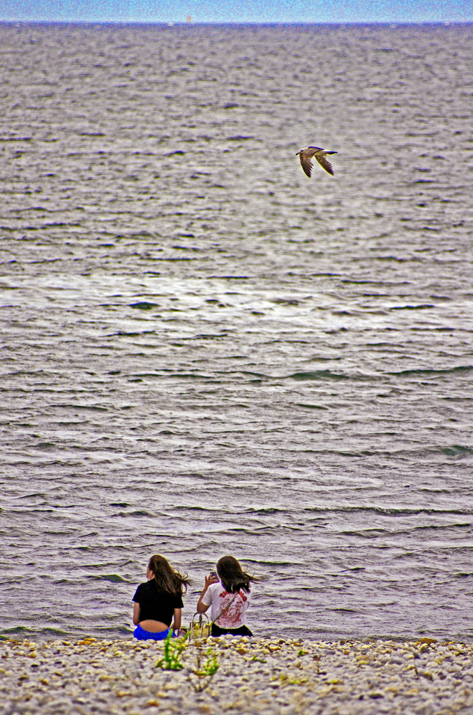 海の壁　IMG9065zz_