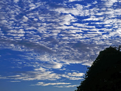 朝の散歩で見た秋空　P1390031zz