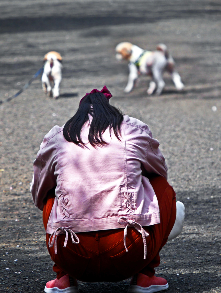 愛犬を撮る女(ひと)　P1120955zz