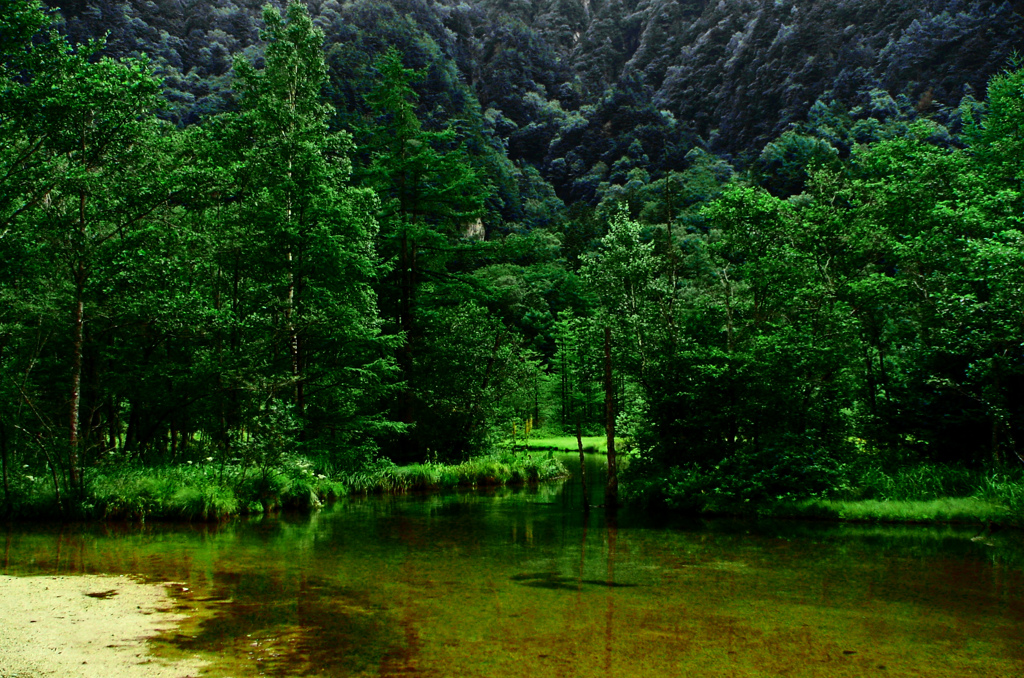 上高地散策 水辺の景　_5713zz