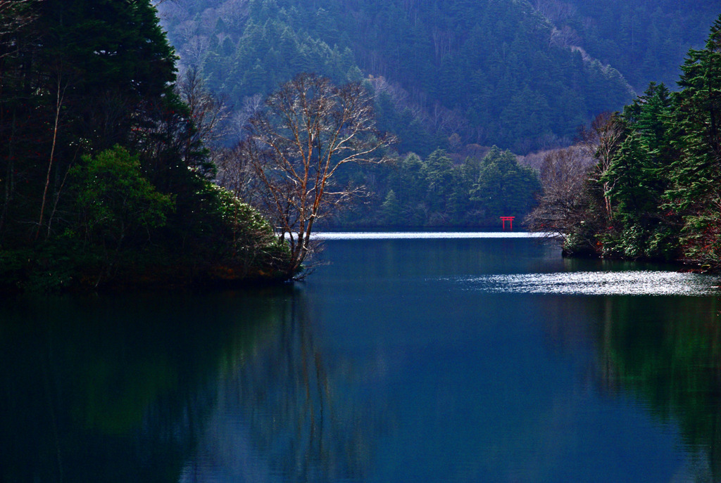 晩秋の大沼池 赤い鳥居　IMGP5950zz
