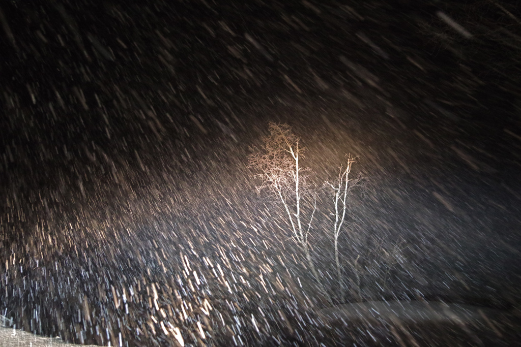 吹雪の中を　IMGP9374zz