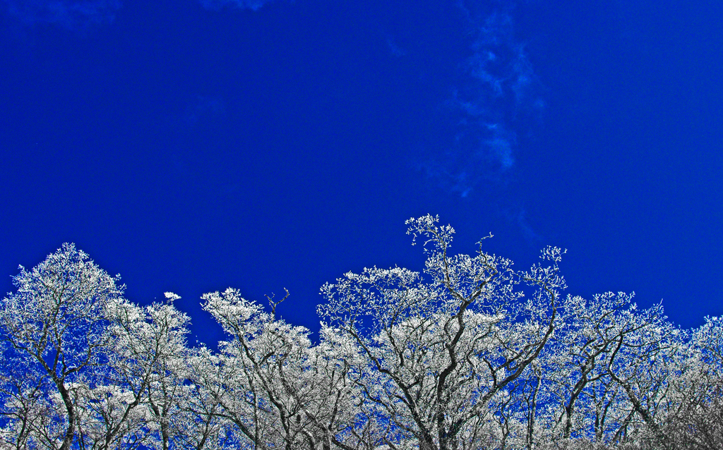 しろがね細工　IMGP0679z