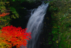 錦繍の大滝　IMGP0366z