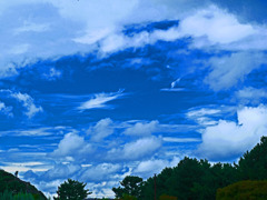 秋の雲　P1460033zz