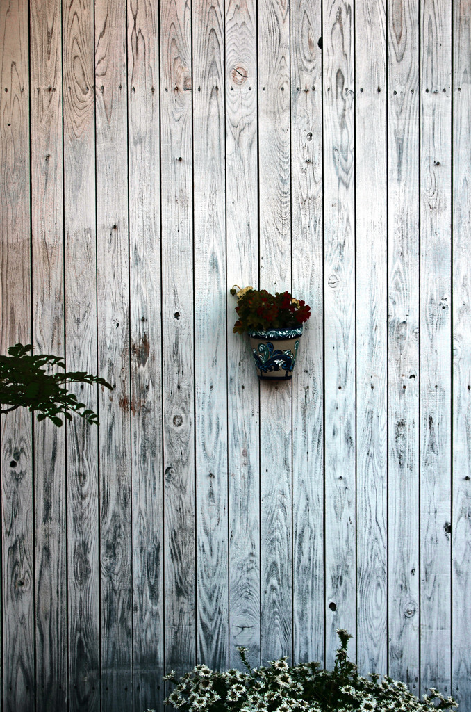 Wall　IMG9332zz