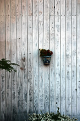 Wall　IMG9332zz