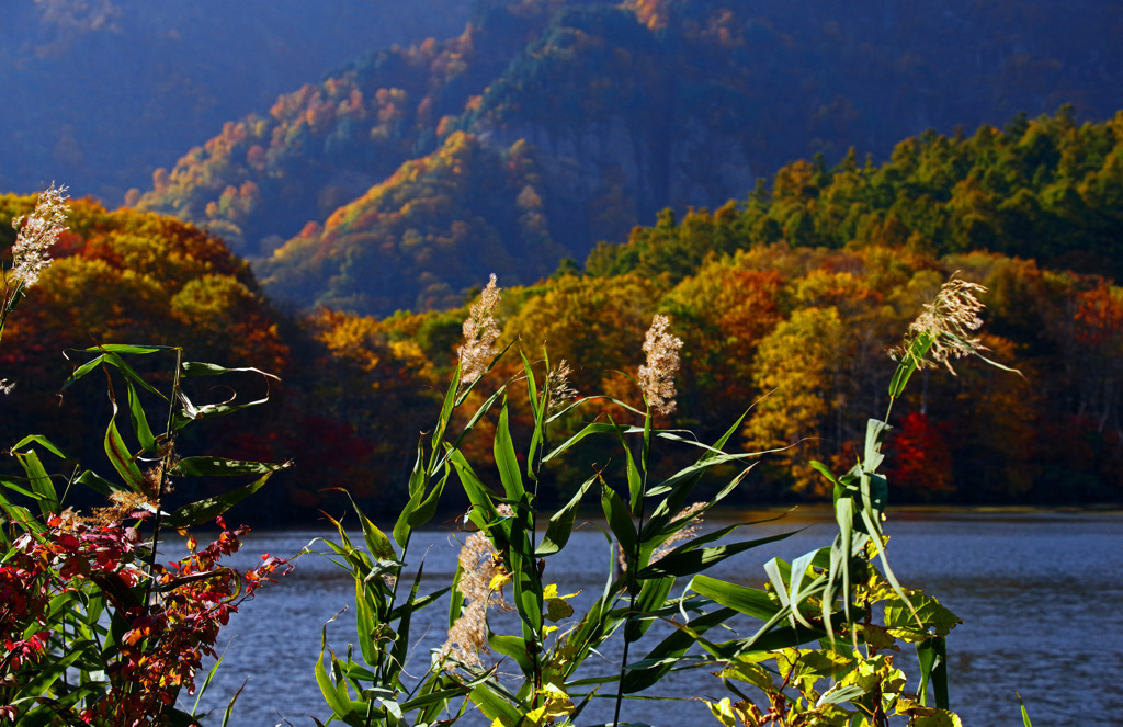 秋の風情　IMGP7093zz