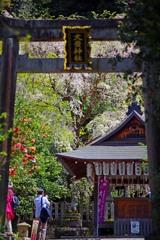 サブルート 脇道　IMGP4926zz