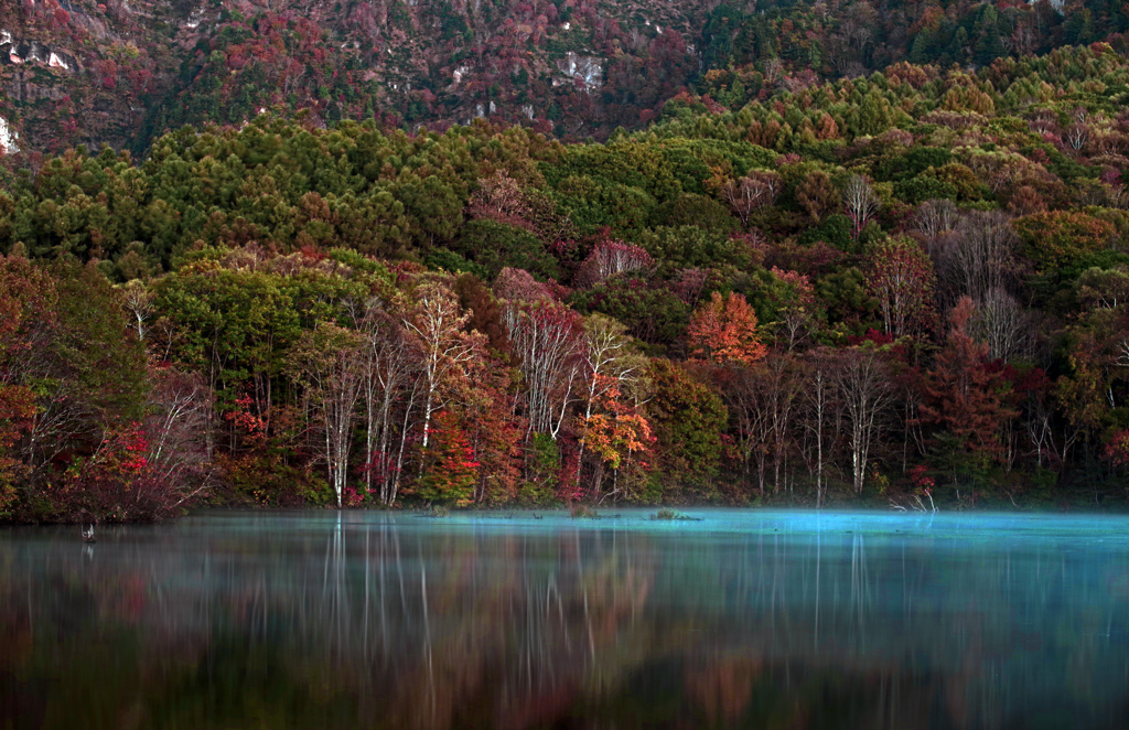 秋の水面(みなも)　IMGP3306zz