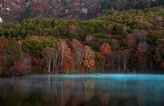 秋の水面(みなも)　IMGP3306zz