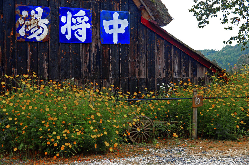 琺瑯看板　IMGP7732zz
