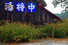 琺瑯看板　IMGP7732zz