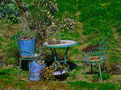 青い鳥が逃げた　P1210971zz