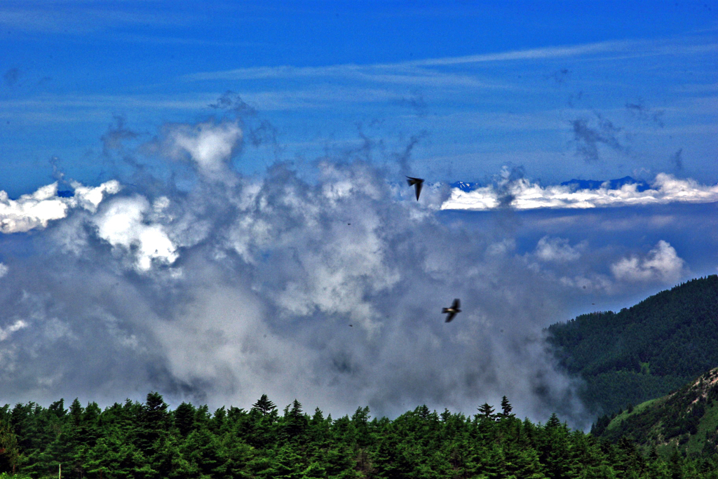 雲湧く谷　IMGP4826zz