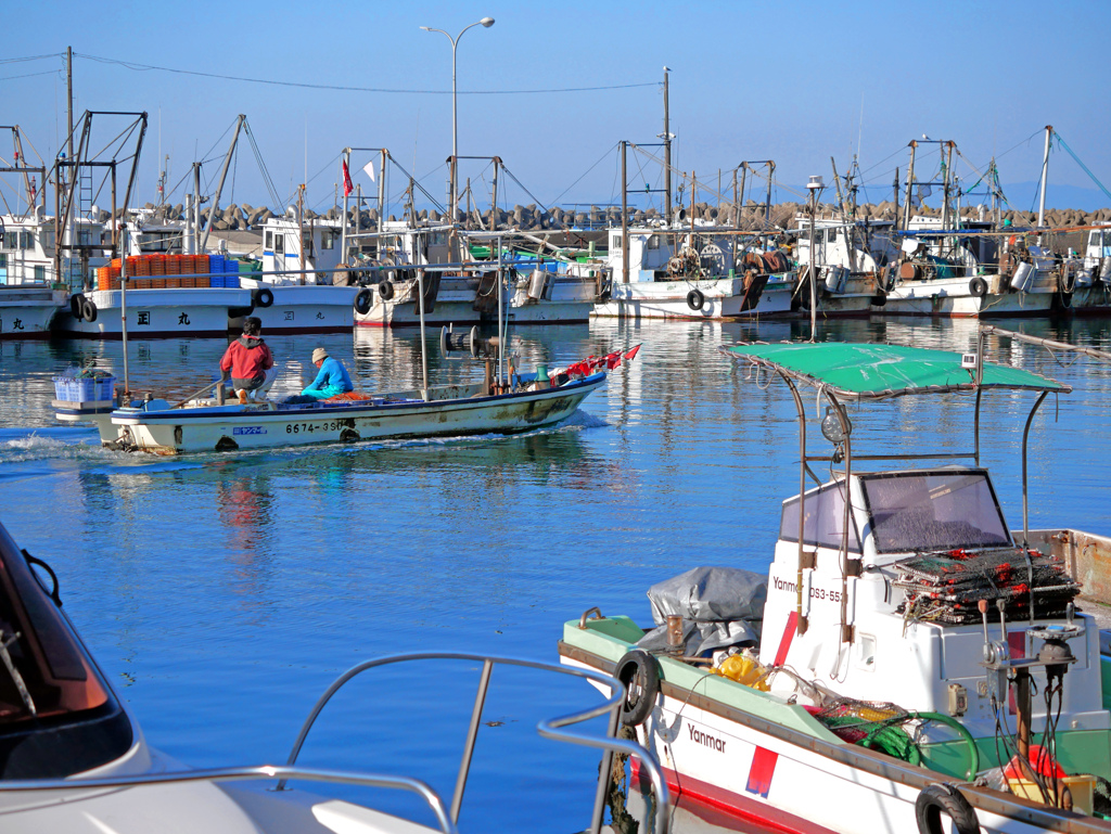 午後の出漁　P1090609zz