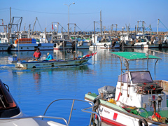 午後の出漁　P1090609zz