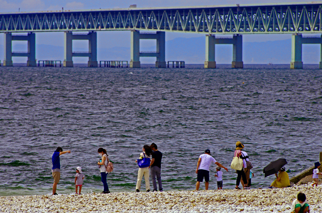 様々な休日　IMG9140zz