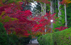2024 高野山の秋Ⅲ　P1057851zz