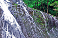 乱れる白糸　IMGP4875zz