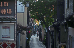 先斗町 朝景(ともかげ)　_IMG8947zz