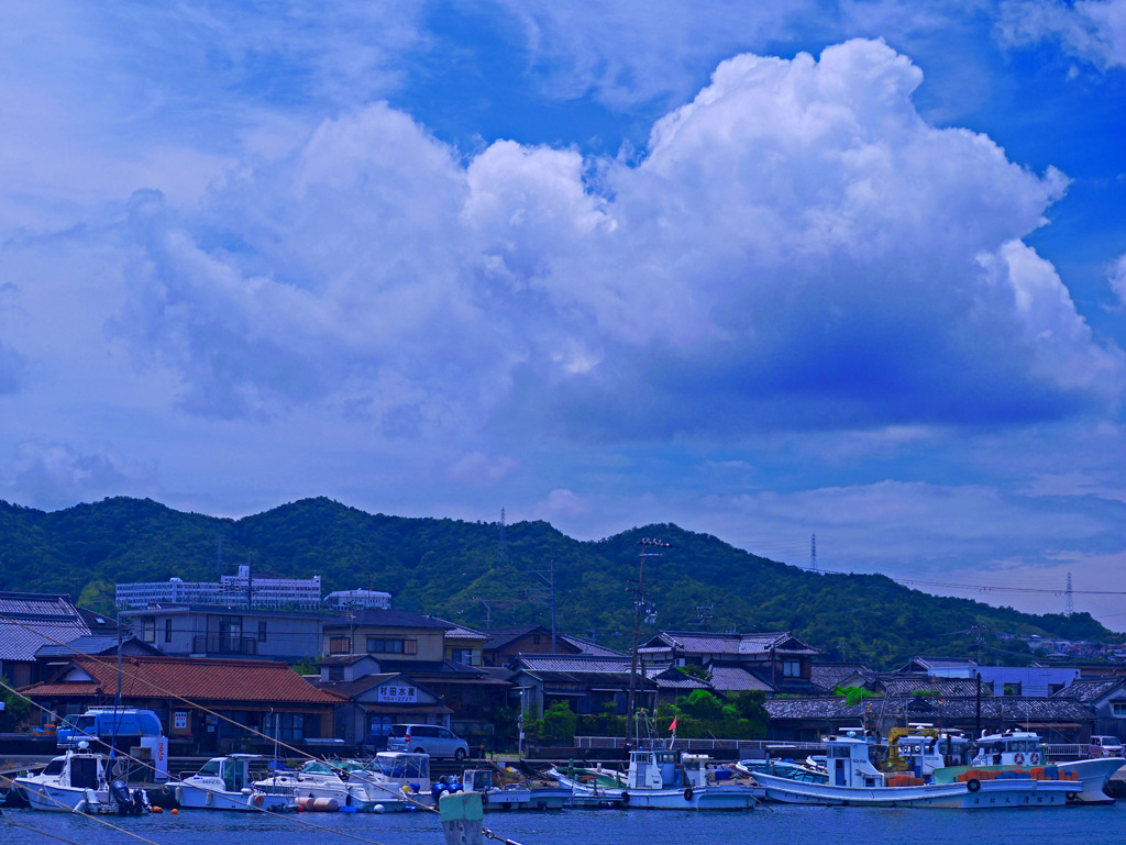 梅雨の晴れ間　P1300924zz