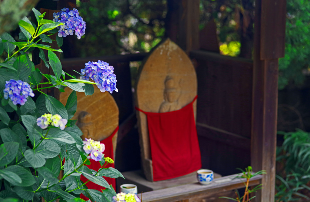 石仏と紫陽花　IMGP8474zz