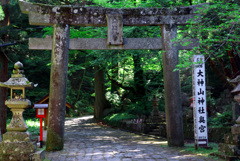 石の鳥居　IMGP4369z