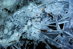 Ice crystalsI  IMGP2817zz
