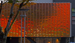 秋色に染まる　P1125194zz